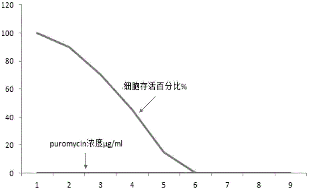 基于CRISPR的改变基因产物表达的方法及其应用与流程