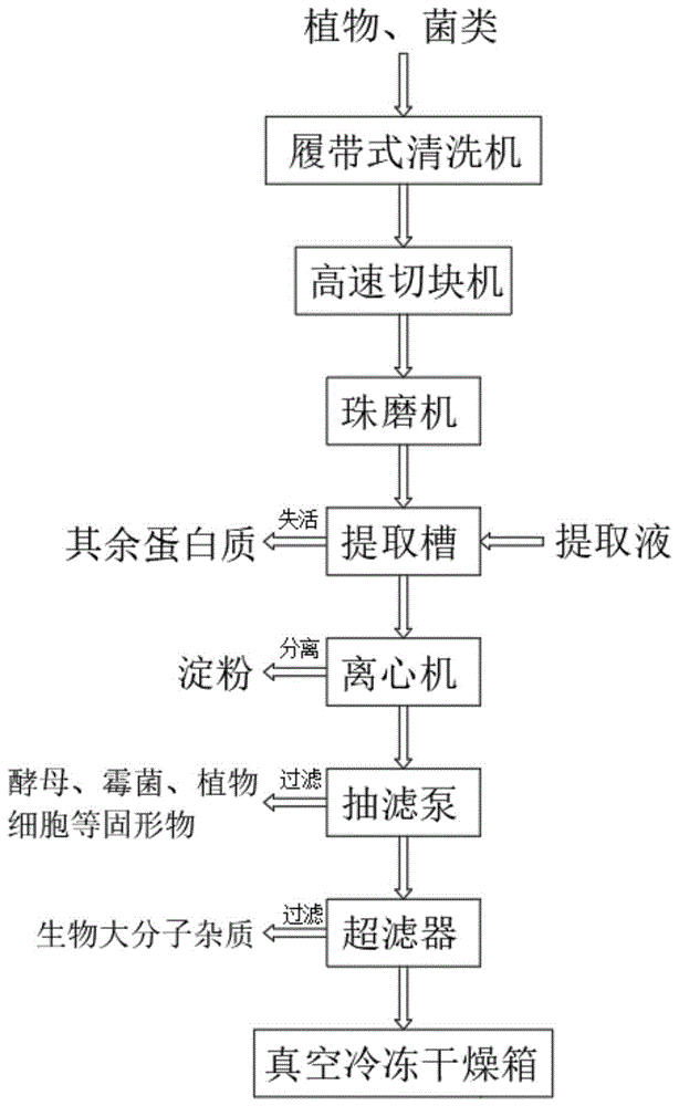 一种基质金属蛋白酶快速提取方法与流程