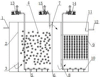 一种分段填料式好氧生物反应池的制作方法