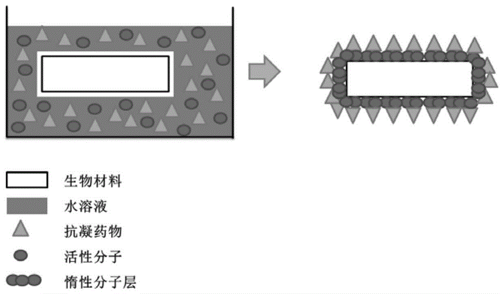 一种运用水溶液制备高效抗凝血生物材料的方法及相应材料与流程