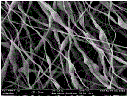 粗糙表面结构纳米纤维及其制备方法与流程