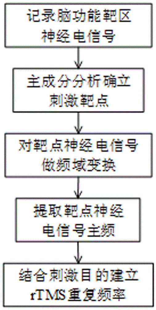 一种建立经颅磁刺激靶点和重复频率的方法与流程