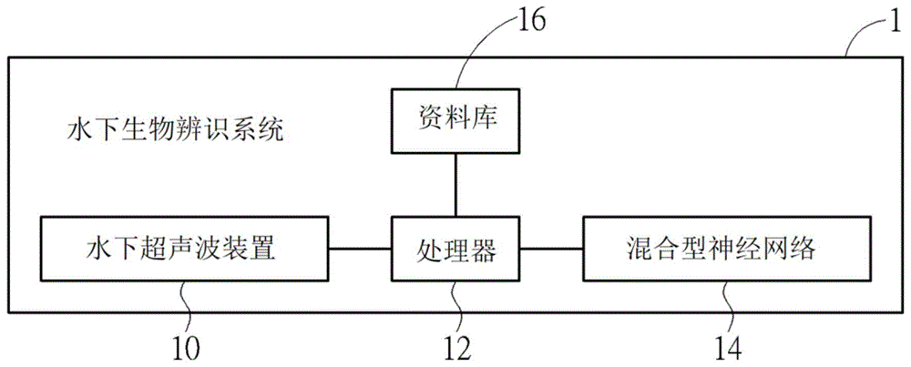 水下生物辨识系统及其方法与流程