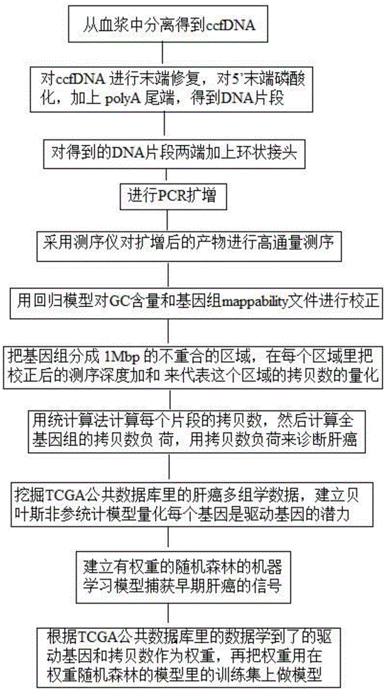 扩增游离DNA的试剂以及扩增方法与流程