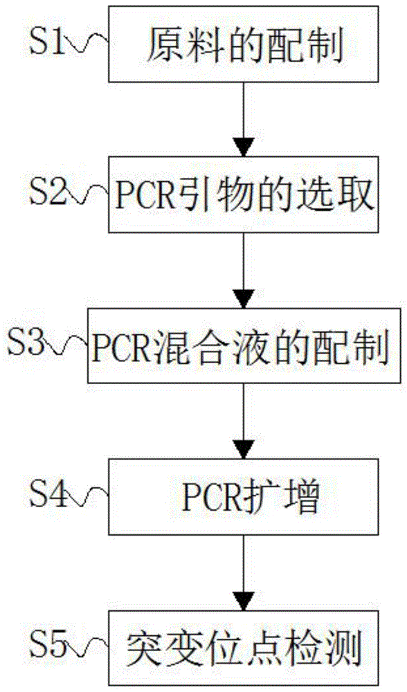 一种检测BRCA基因突变的PCR反应试剂盒的制作方法