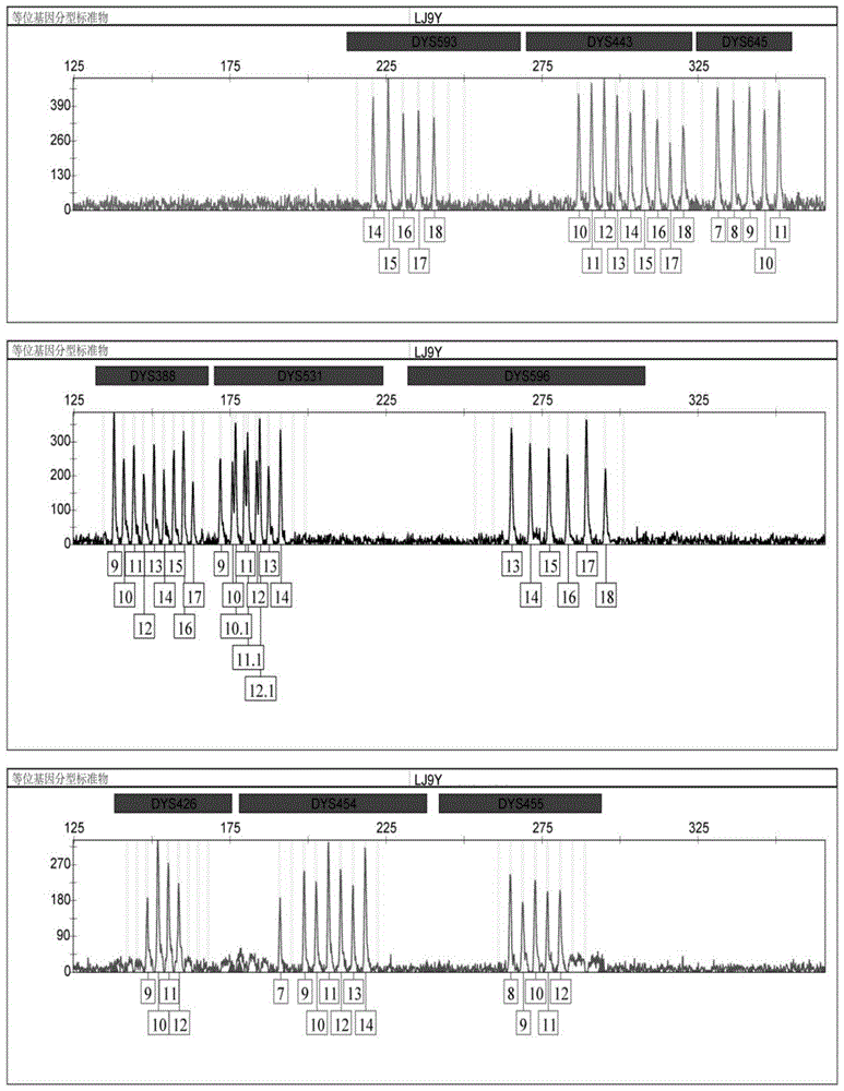 基于9个慢突变Y染色体STR遗传标记的法医学荧光复合检测试剂盒的制作方法