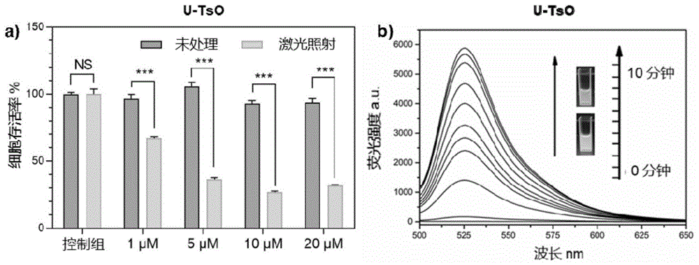 一种可用于双光子光动力治疗的多功能生物探针及其制备方法和用途与流程