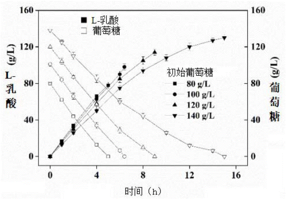 一种高效生产L-乳酸的方法与流程