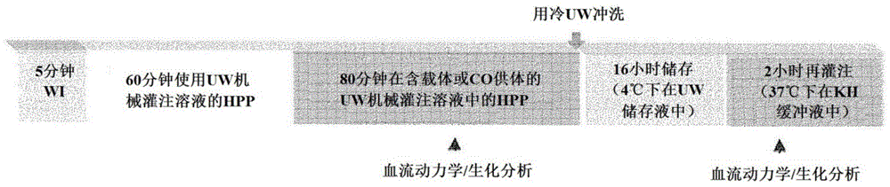 释放一氧化碳的降冰片烯酮化合物的制作方法