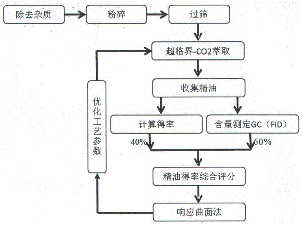 一种基于响应面法优化超临界萃取高纯度小茴香精油的方法与流程