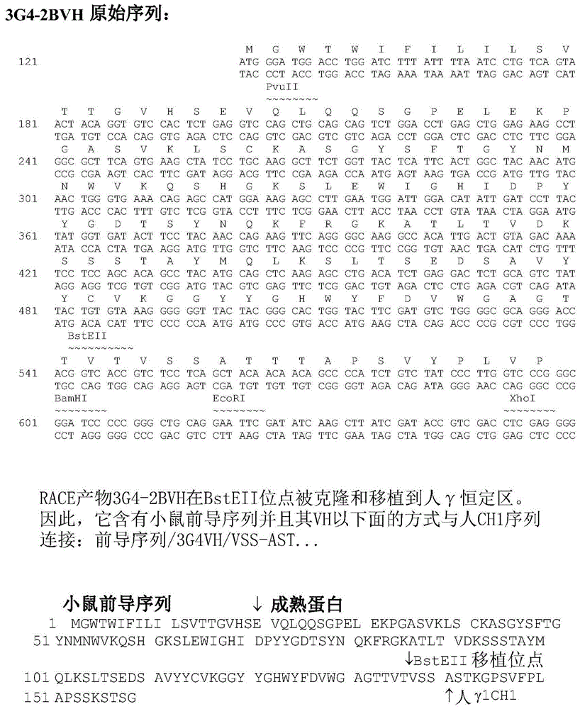 使用PS靶向抗体与免疫肿瘤学药剂治疗癌症的方法与流程