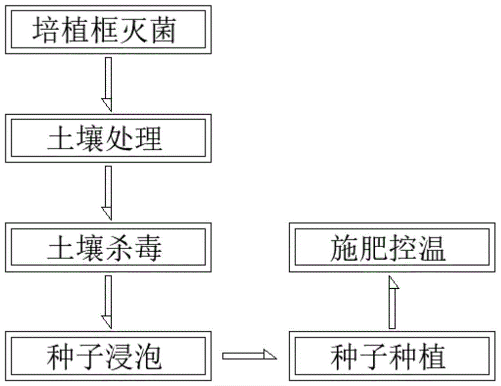 一种阳台蔬菜的培植方法与流程