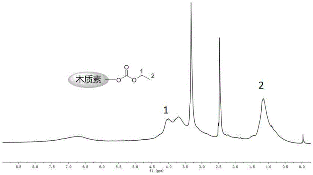 一种木质素碳酸酯的制备方法与流程