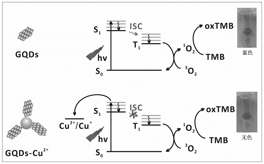 一种基于GQDs光催化可视化检测Cu2+的方法与流程