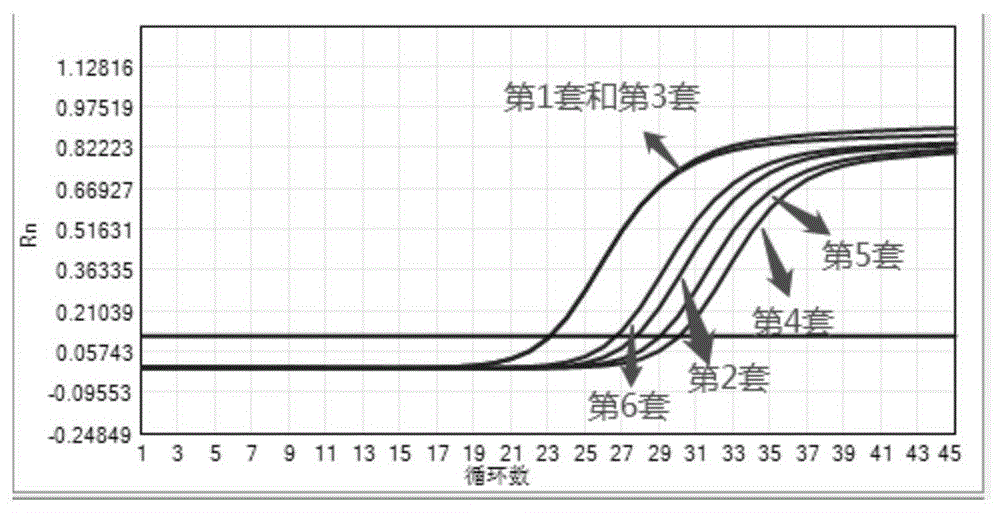 用于HSV-1型和2型分型检测的组合物、试剂盒以及方法与流程