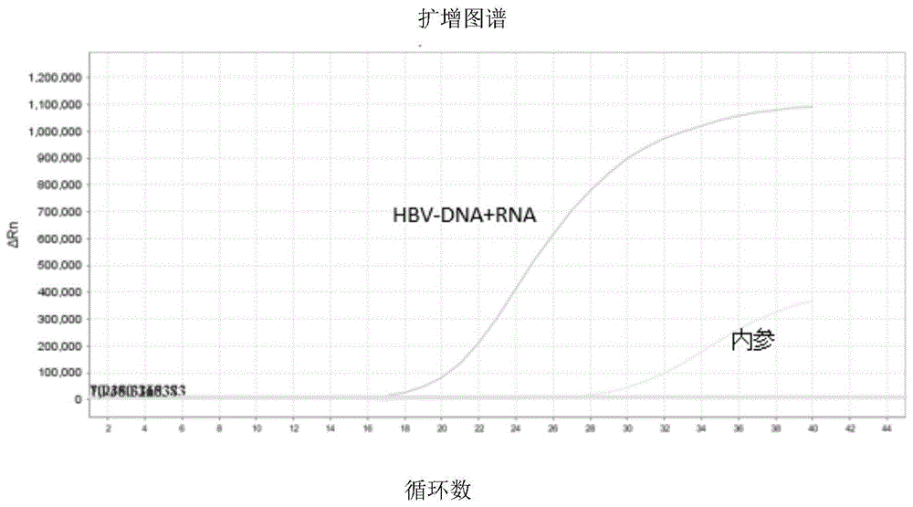 定量检测样品中乙型肝炎病毒RNA的方法及其系统与流程