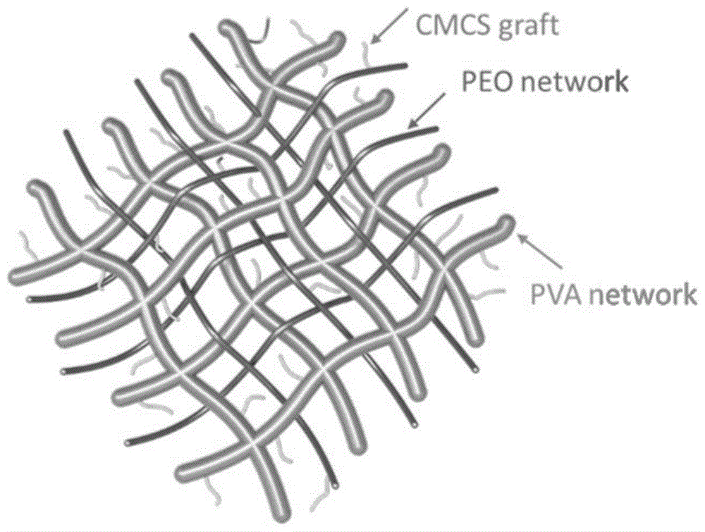 具有ph响应性和内部接枝多孔贯通网状结构的复合水凝胶敷料及其制备