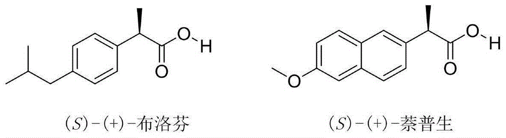 一种手性2-芳基丙酸酯的合成方法与流程