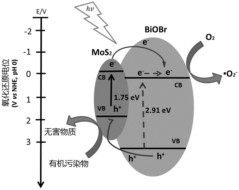 一种二维结构硫化钼修饰溴氧铋的光阳极材料及其制备方法与流程