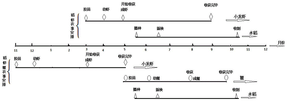 一种立体综合种养方法与流程