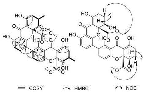 源于草酸青霉的iso-Penicillixanthone A及在淋巴瘤方面的应用的制作方法
