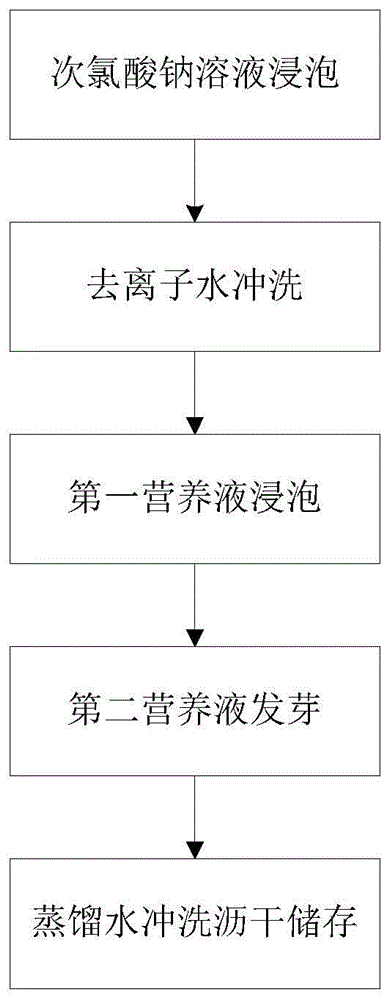 一种高含量GABA的彩色软米发芽糙米及其食用原料的制作方法与流程