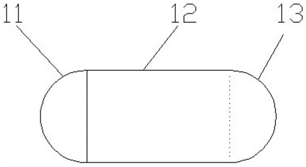 胶囊状壳体及具有该胶囊状壳体的胶囊内窥镜的制作方法