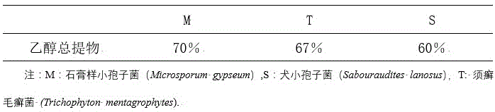 镰形棘豆的抗真菌感染提取物及其制备方法和用途与流程