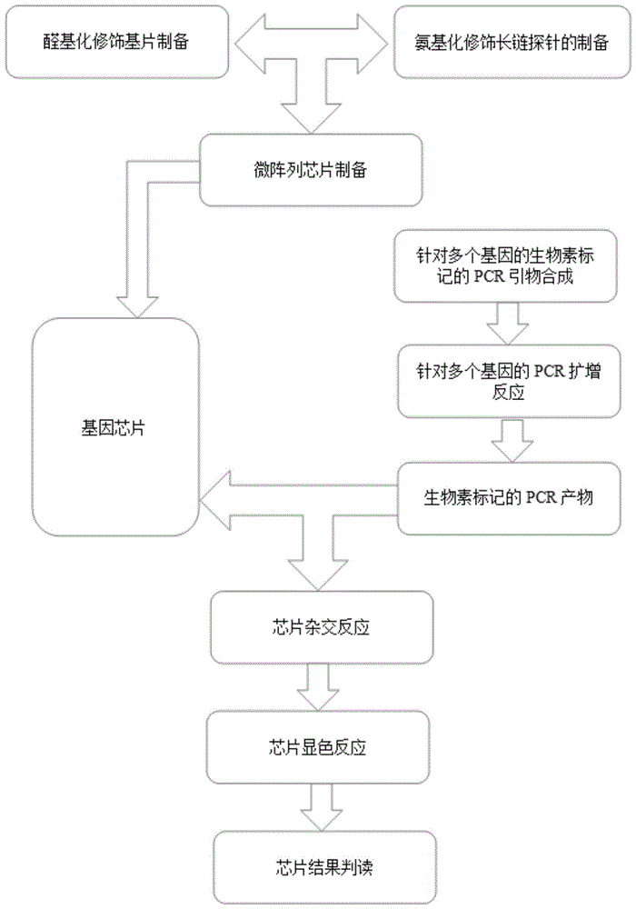 一种能检测多种细菌基因组DNA的微阵列芯片及其制备方法与流程