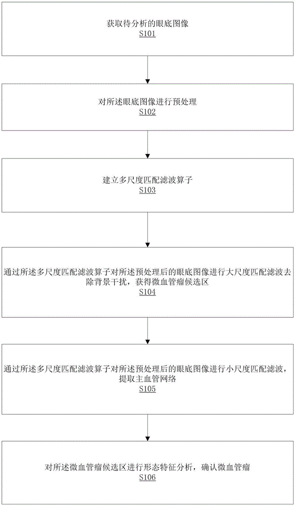 一种眼底图像微血管瘤自动检测方法及存储设备与流程