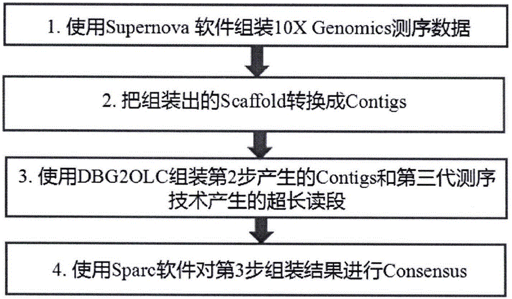 综合应用第三代超长测序读段和第二代链接式读段从头组装基因组的方法与流程