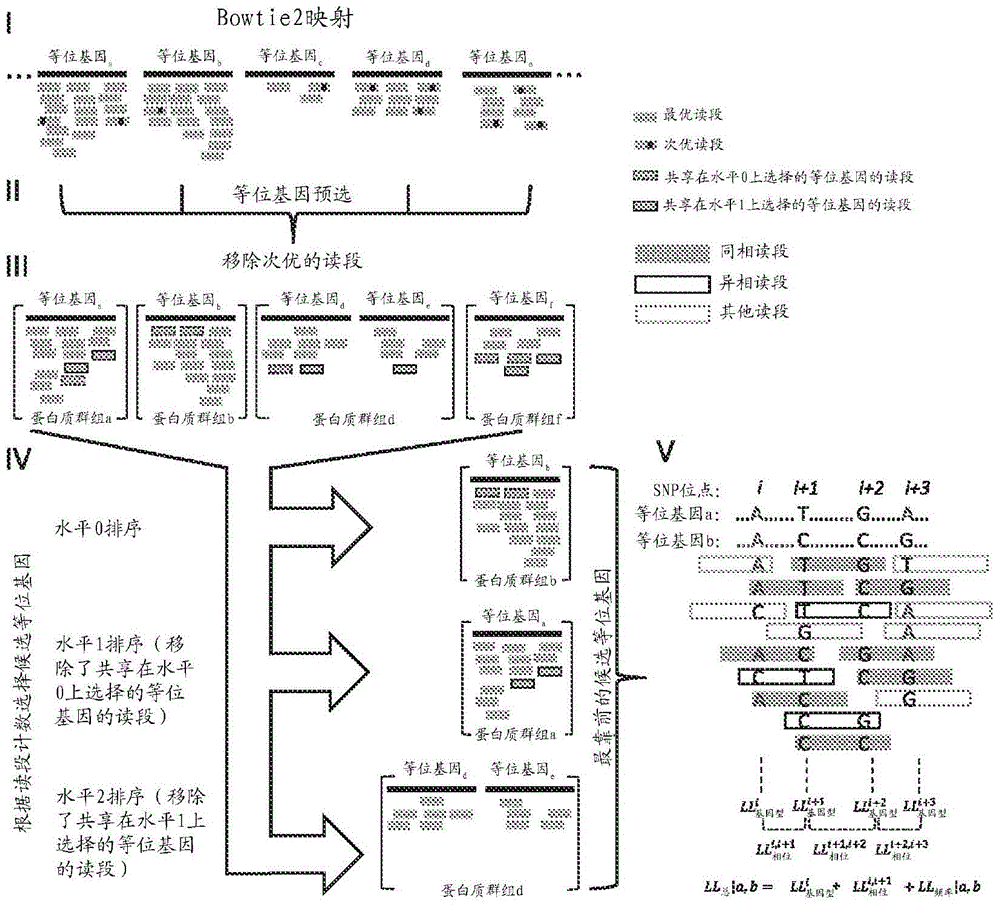 高分辨率等位基因鉴定的制作方法