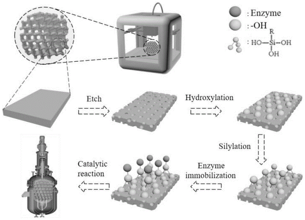 基于3D打印技术的酶固定化方法与流程