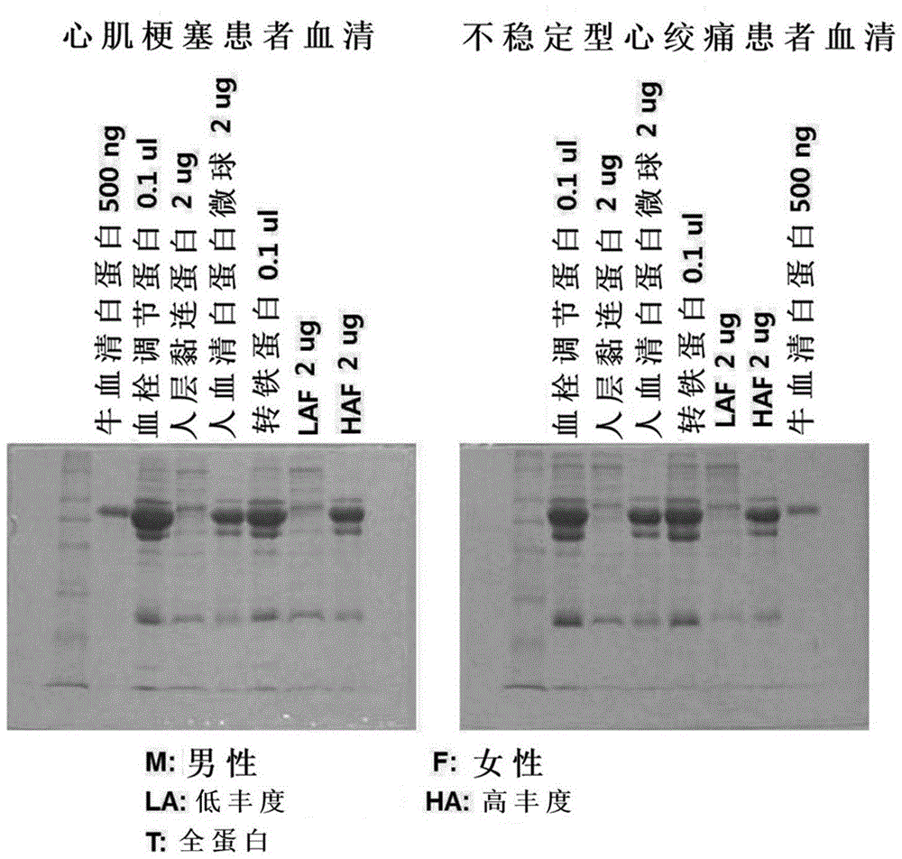 利用下一代测序方法的靶蛋白的聚类定量方法及其用途与流程