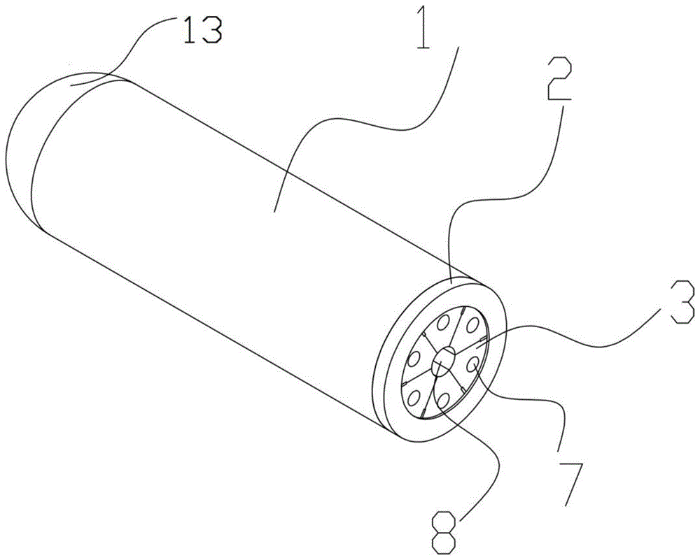 组合插植施源器的制作方法