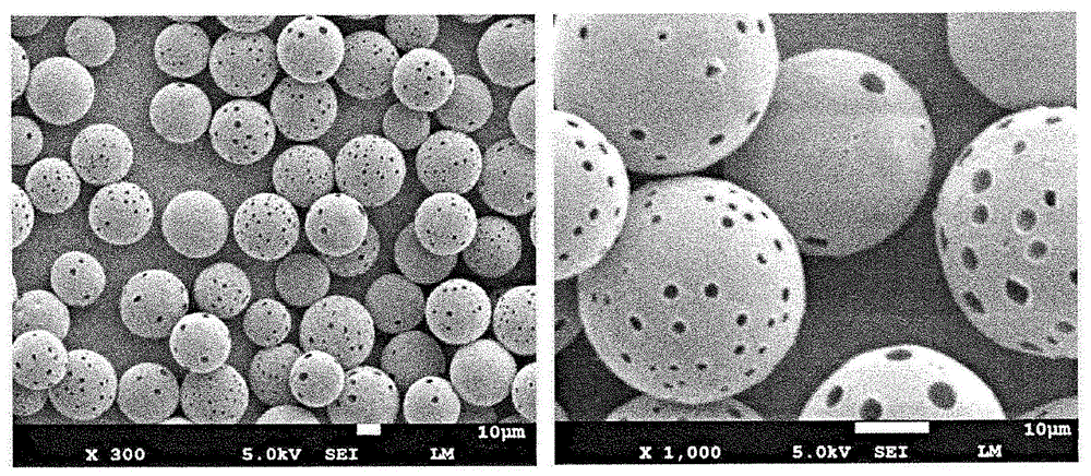 可生物降解的聚合物微粒的制备方法和由此制备的可生物降解的聚合物微粒与流程