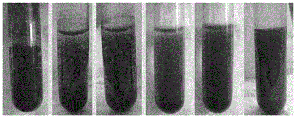 一种基于碳纳米管聚多巴胺复合材料微生物燃料电池的方法与流程