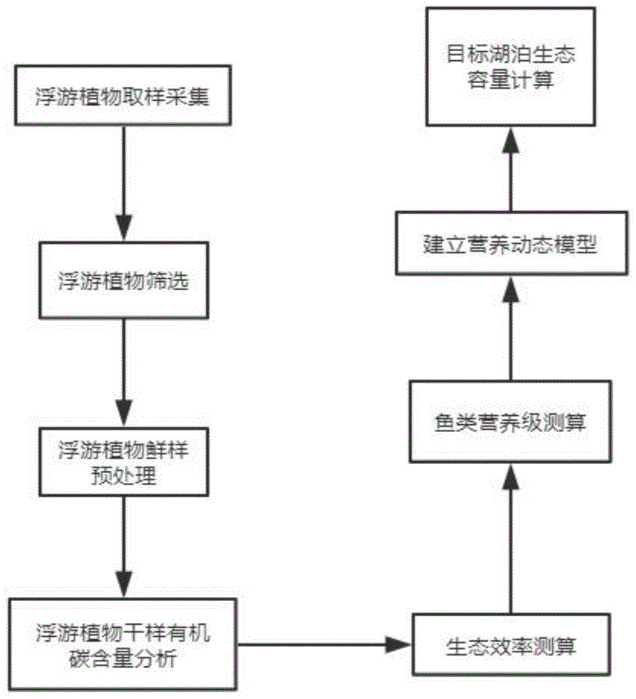 一种基于营养动力学的湖泊生态容量计算方法与流程