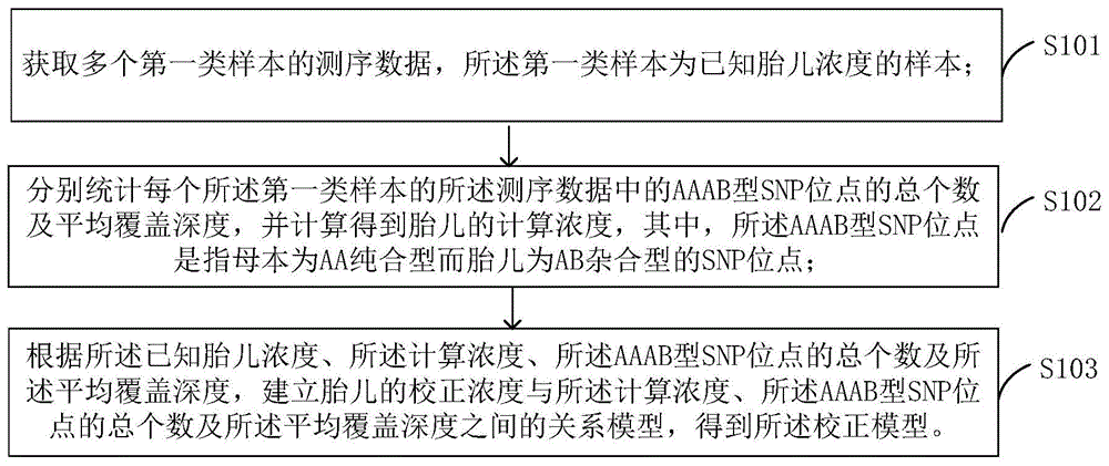 建立胎儿浓度校正模型的方法及装置与胎儿浓度定量的方法及装置与流程