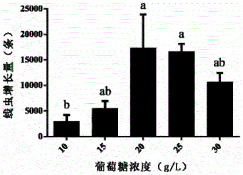 松材线虫病疫木内腐生线虫的培养基及其制备方法和应用与流程