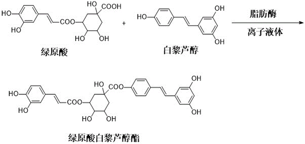 一种绿原酸白藜芦醇酯的酶法合成方法及应用与流程