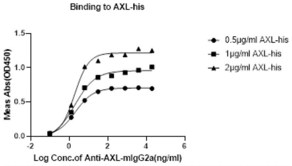一种分泌AXL抗体的杂交瘤细胞的制备筛选方法与流程