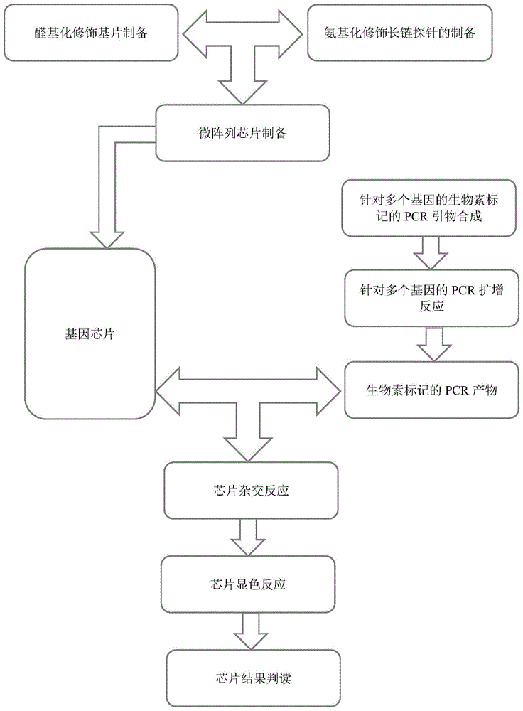 一种经过修饰的基因芯片探针、其制备方法及使用该基因芯片探针的微阵列芯片与流程