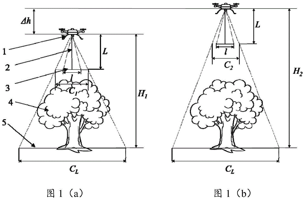 一种利用无人机准确快速测量树木冠幅的系统的制作方法