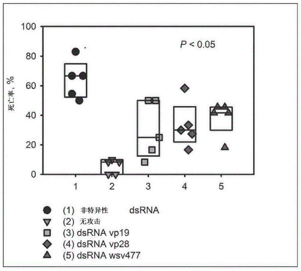 水产养殖和其他动物系统中病原菌生物控制的新系统的制作方法