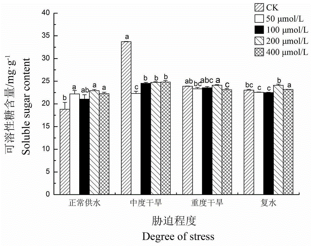 一种采用茉莉酸提高油用牡丹抗旱性的方法与流程