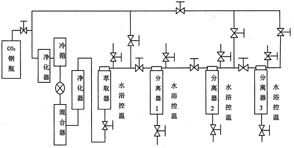 一种治疗抑郁症的精油及其制备方法与用途与流程