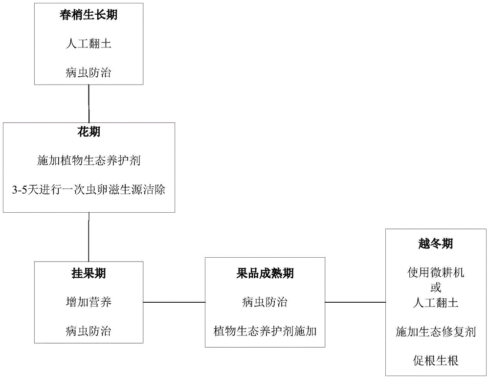 一种生态友好的新会柑种植方法与流程