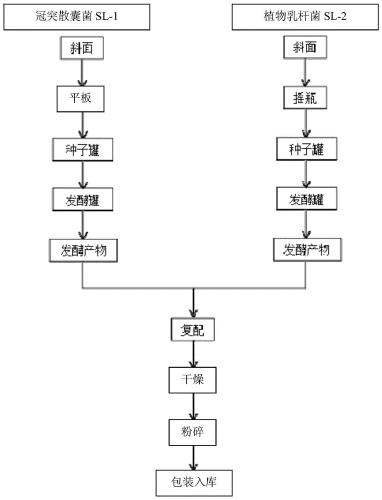 一种复合微生物饲料添加剂及其制备方法与流程