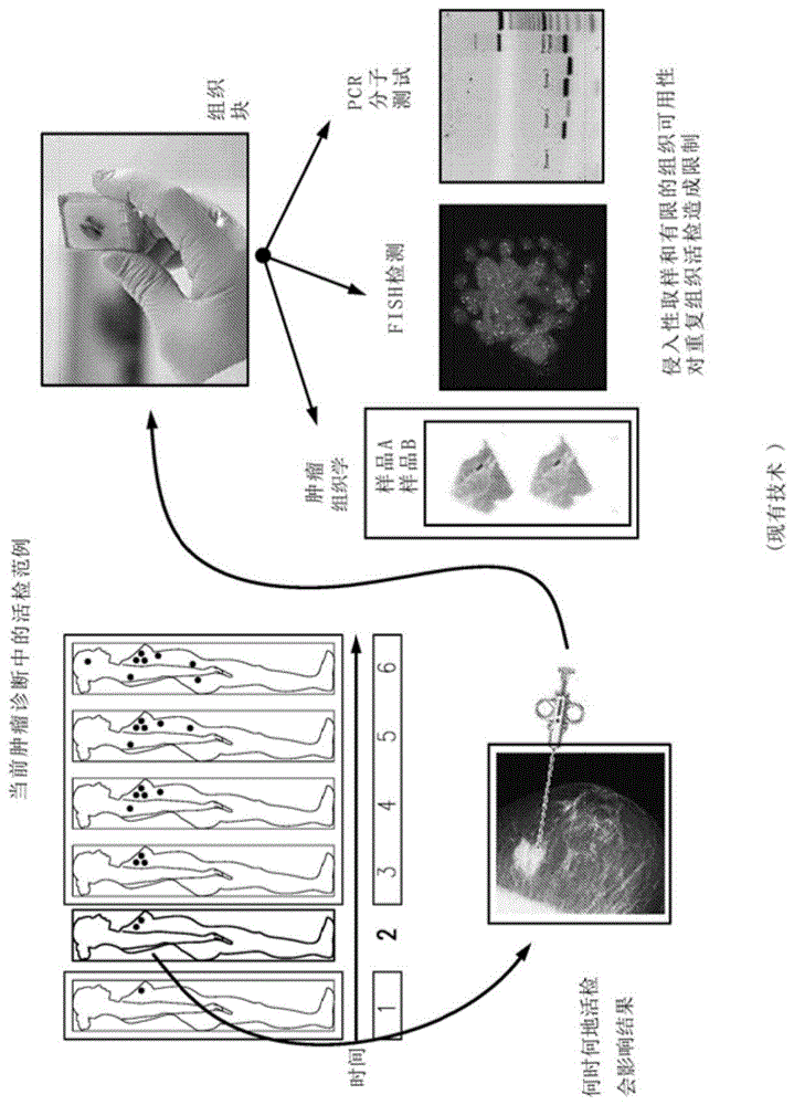 定量的液体活检诊断系统与方法与流程